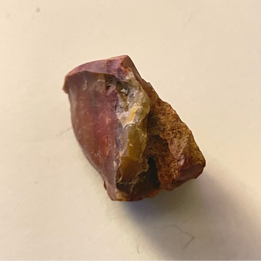 New Petrified Wood Brown Tan Natural Free Form Specimen Chunk 26.2g 131.0CT - Picture 6 of 10